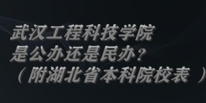 武汉工程科技学院是公办还是民办？（附湖北省本科院校表 ）