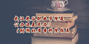 武汉光谷职业学院是公办还是民办？（附湖北省本科院校表 ）