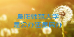 阜阳师范大学是公办还是民办大学？（附各专业收费标准）