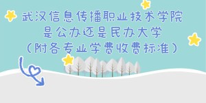 武汉信息传播职业技术学院是公办还是民办大学？各专业收费标准