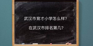 武汉市育才小学怎么样在武汉排名第几？难进吗对口的中学是哪一所