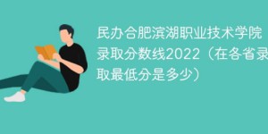 民办合肥滨湖职业技术学院2022年各省录取分数线一览表「最低分+最低位次+省控线」