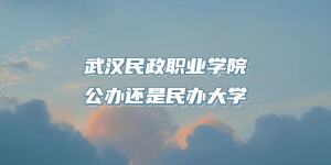 武汉民政职业学院公办还是民办大学（附湖北专科院校一览表）