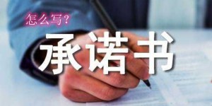 个人承诺书内容模板范文（让承诺的内容有效的3个条件参考）