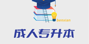 江苏最好的专升本大学排名前十一览表（江苏省最厉害的专升本院校推荐）