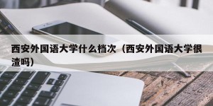 西安外国语大学什么档次（西安外国语大学很渣吗）