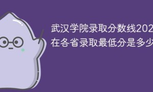 武汉学院2022年各省录取分数线一览表「最低分+最低位次+省控线」