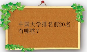 中国大学排名前20名有哪些？录取分数线怎么样的？