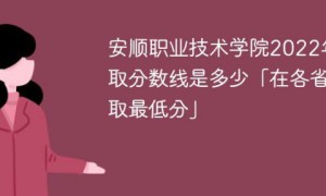 安顺职业技术学院2022年最低录取分数线是多少（本省+外省）