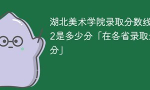 湖北美术学院2022年各省录取分数线一览表「最低分+最低位次+省控线」