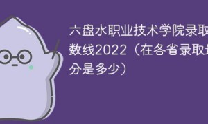 六盘水职业技术学院2022年最低录取分数线是多少（本身+外省）