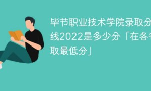 毕节职业技术学院2022年最低录取分数线是多少（省内+省外）