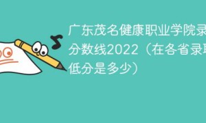 广东茂名健康职业学院2022年最低录取分数线是多少（本省+外省）