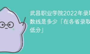 武昌职业学院2022年各省录取分数线一览表「最低分+最低位次」