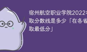 宿州航空职业学院2022年各省录取分数线一览表「最低分+最低位次+省控线」