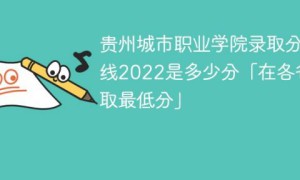 贵州城市职业学院2022年最低录取分数线是多少（本省+外省）