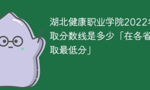 湖北健康职业学院2022年各省录取分数线「最低分+最低位次+省控线」