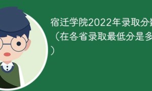 宿迁学院2022年各省录取分数线一览表「最低分+最低位次+省控线」