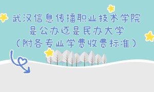 武汉信息传播职业技术学院是公办还是民办大学？各专业收费标准