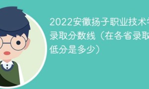 安徽扬子职业技术学院2022年最低录取分数线是多少分「最低位次+省控线」