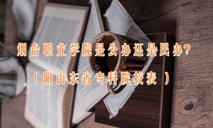 烟台职业学院是公办还是民办？（附山东省专科院校表 ）