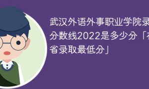 武汉外语外事职业学院2022年各省录取分数线一览表「最低分+最低位次+省控线」