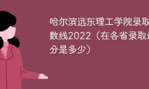 哈尔滨远东理工学院2022年各省录取分数线一览表「最低分+最低位次+省控线」