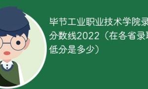 毕节工业职业技术学院2022年最低录取分数线是多少（省内+外省）