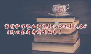 潍坊护理职业学院是公办还是民办？（附山东省本科院校表 ）