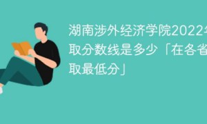 湖南涉外经济学院2022年各省录取分数线一览表「最低分+最低位次+省控线」