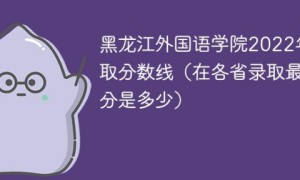 黑龙江外国语学院2022年各省录取分数线一览表「最低分+最低位次+省控线」