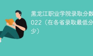 黑龙江职业学院2022年各省录取分数线一览表「最低分+最低位次+省控线」